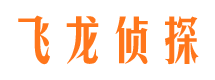 洪湖飞龙私家侦探公司